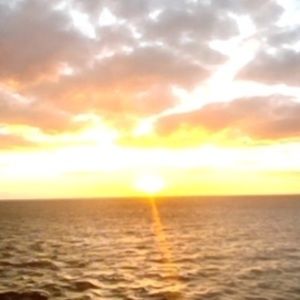 Meet your Posher, Lily